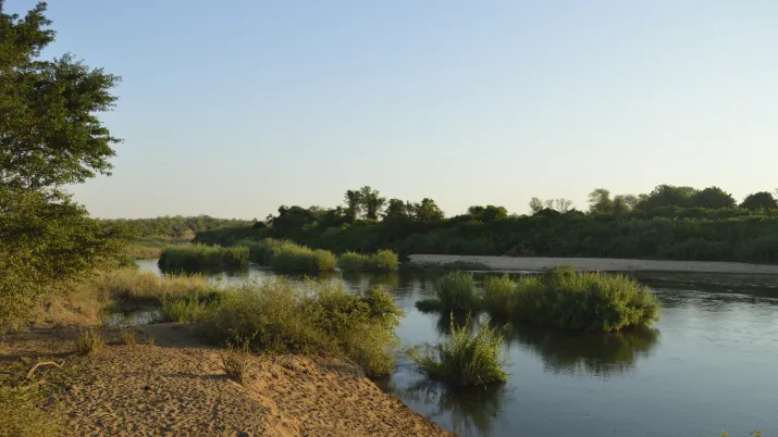 Parc national du Limpopo, Mozambique