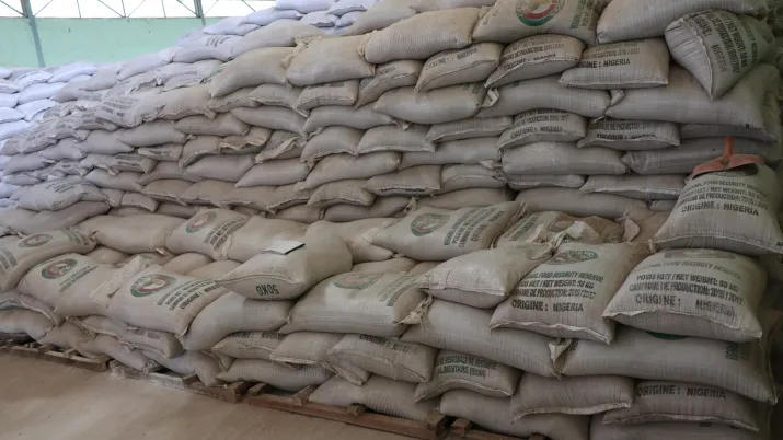 bags, food responsiveness, food security