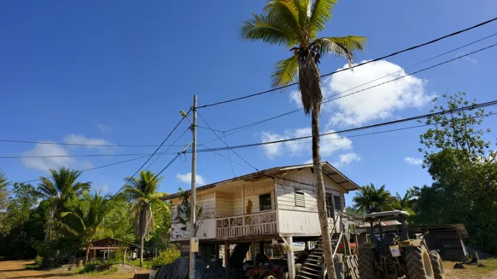 biomasse, Guyane, Saint-Georges