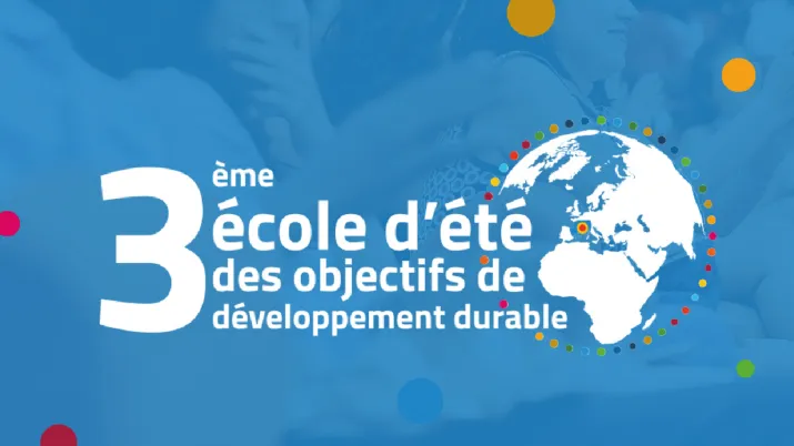 3e école d'été des ODD