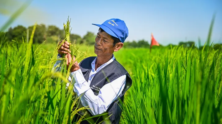 Transition agro-écologique Asie du Sud-Est AFD