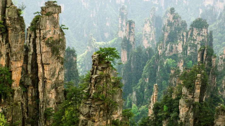 Chine France AFD environnement climat biodiversité