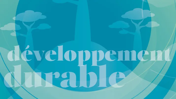 Aménagement durable du littoral de la Commune Urbaine de Morondava (CUM) face au défi du changement climatique avec la Région Réunion