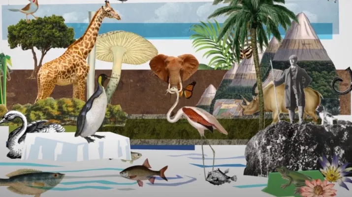 « La Face du monde », une série de vidéos qui décrypte les grands défis de la planète