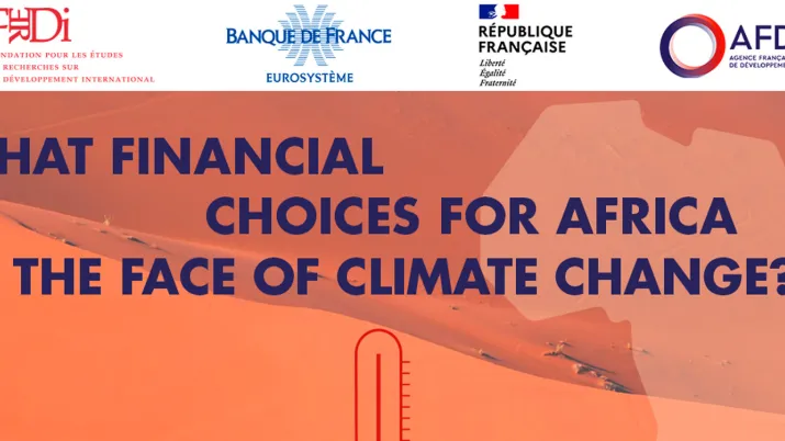 Banque de France-Ferdi–AFD Conference: What financial choices for Africa in the face of climate change? 