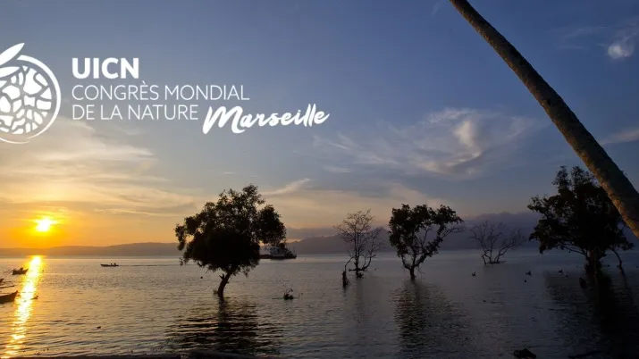 L’Union internationale pour la conservation de la nature (UICN) a organisé avec la France son Congrès mondial pour la nature du 3 au 11 septembre 2021 à Marseille