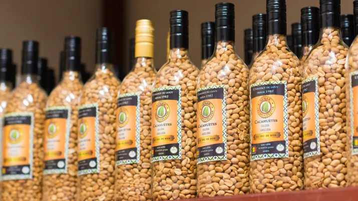 Entrepreunariat africain