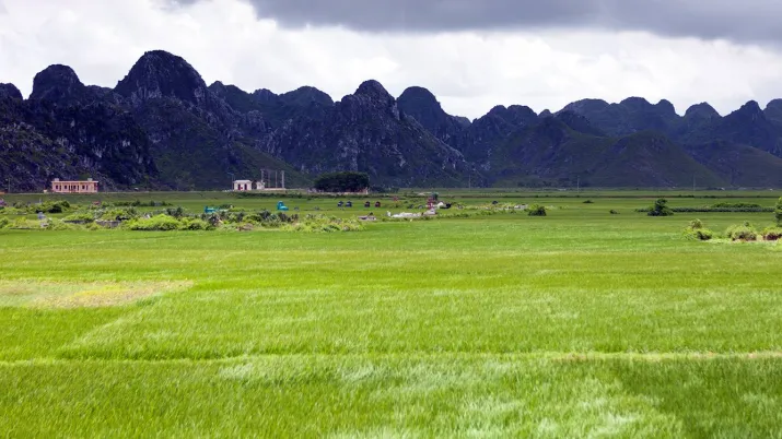 Avec plus de 3 200 km de côtes, le Vietnam est l’un des pays les plus vulnérables face aux conséquences du changement climatique