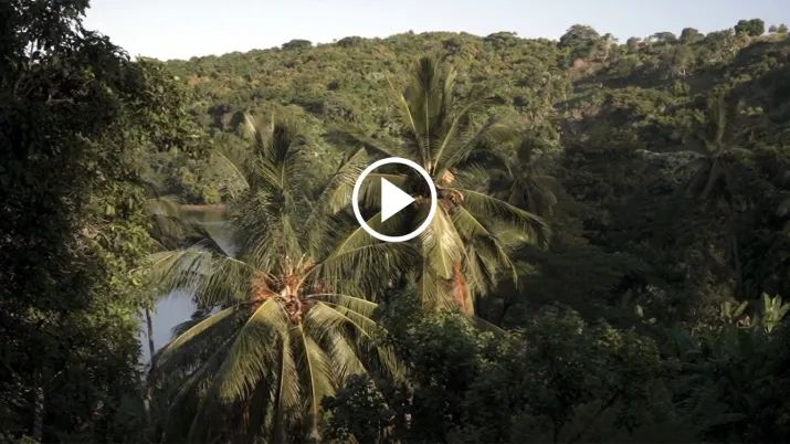 Comores, biodiversité 