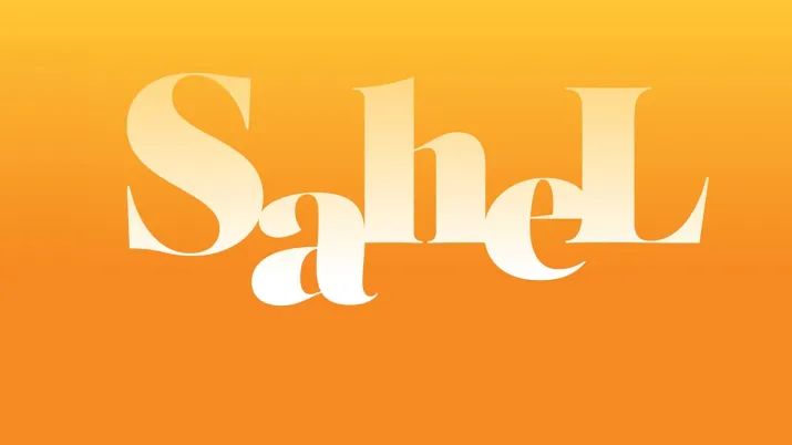 Bilan d'activités Sahel 2021