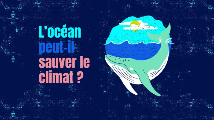 océan climat Tilt protection préservation