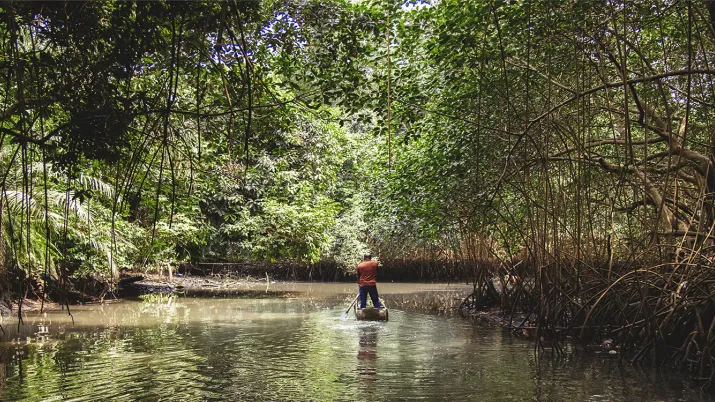 Parc national Gabon