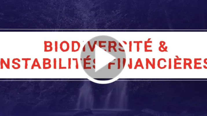 Biodiversité et instabilité financière : Analyse en vidéo de Julien Calas