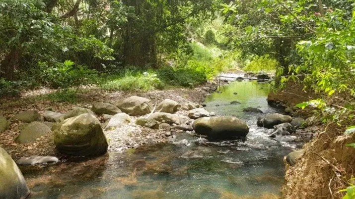 Promouvoir le développement durable sur le territoire à Fort-de-France