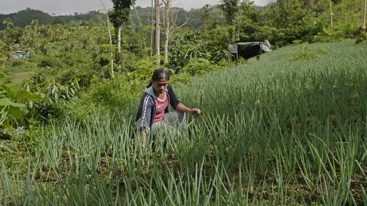 Appui programme national réformes lutte contre changement climatique aux philippines