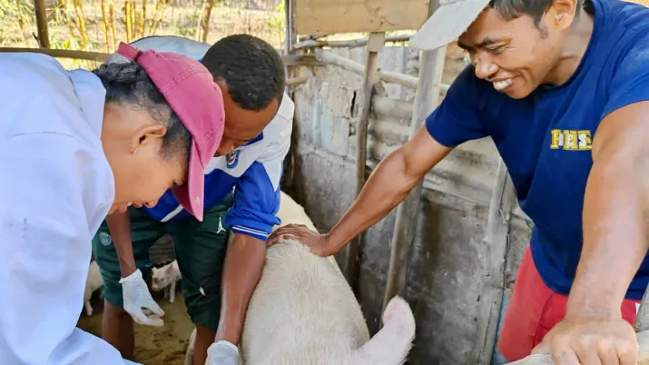 prévention transmission maladie porc océan indien