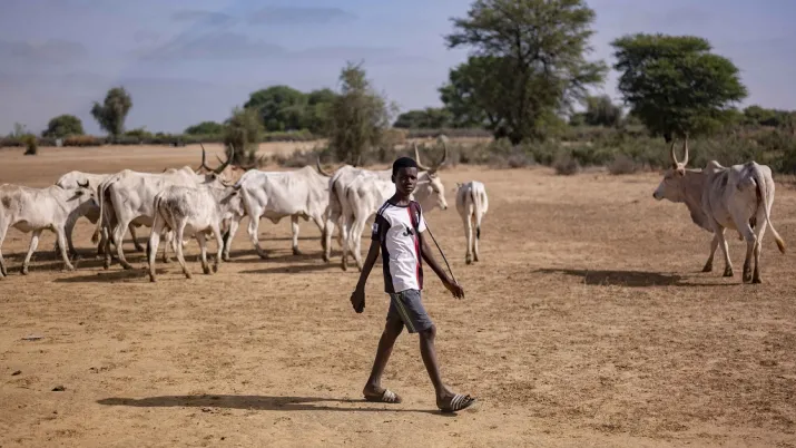 adolescent champs agriculture sénégal