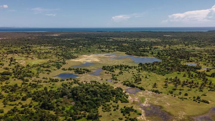 ecosystemes environnement Afrique nature forêt savane