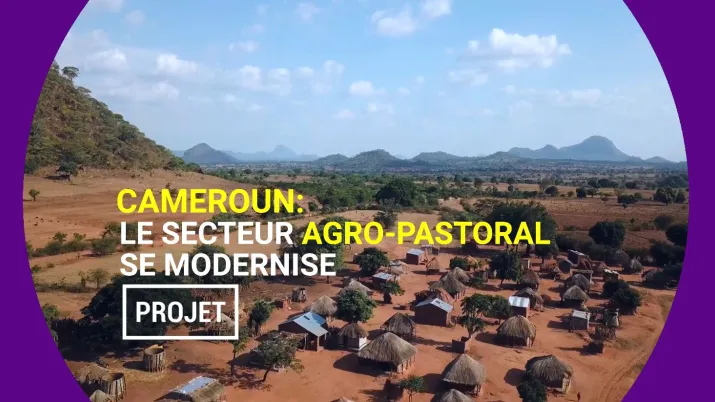 Cameroun : le secteur agro-pastoral se modernise