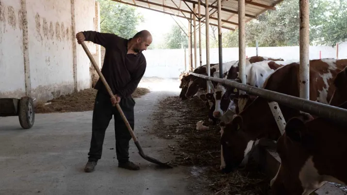 Ce projet vise à financer les acteurs des filières agricoles grâce à une sélection d’instruments encourageant les investissements à bénéfice climat et l’inclusion des petits agriculteurs en Ouzbekistan.