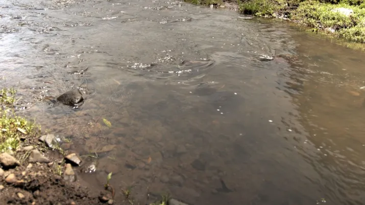 Ce projet vise à améliorer les conditions de vie des habitants de la région de Mombasa en augmentant les volumes d'eau potable produits.