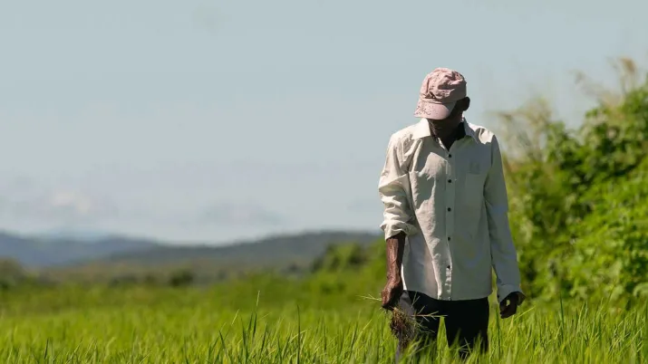 Le projet vient appuyer l’Etat dominicain dans l’adoption de pratiques et techniques agricoles durables par les petits et moyens producteurs