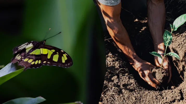 Biodiversité et Climat : le groupe AFD accèlère
