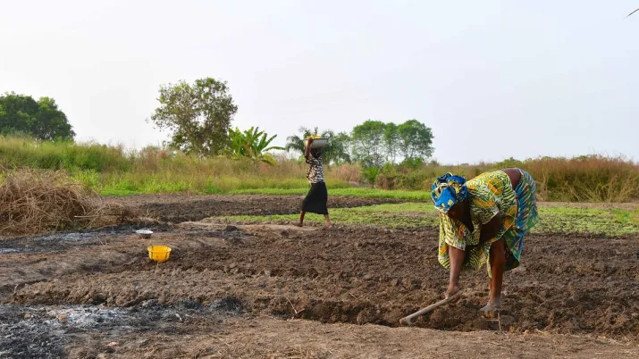 femmes benin agriculture afd