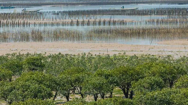 Le projet vise à soutenir la  mise en place d’une gestion intégrée de la zone côtière de Fuding en Chine, conforme aux meilleures pratiques internationales, des hauts bassins versant aux écosystèmes côtiers de mangroves et jusqu’à la mer.