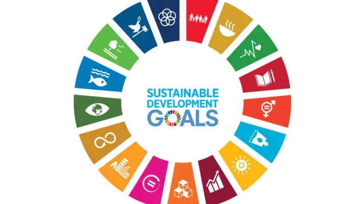 The Sustainable Development Goals