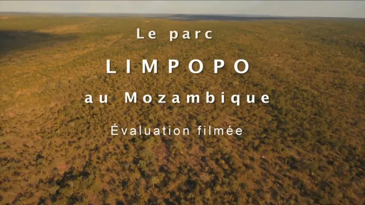 Visuel Limpopo