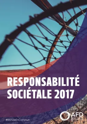 rapport RSO 2017