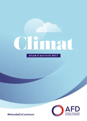 bilan activité climat AFD 2017