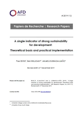 Indicator of strong sustainability for development_couv