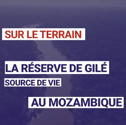 La réserve de Gilé : Source de vie au Mozambique