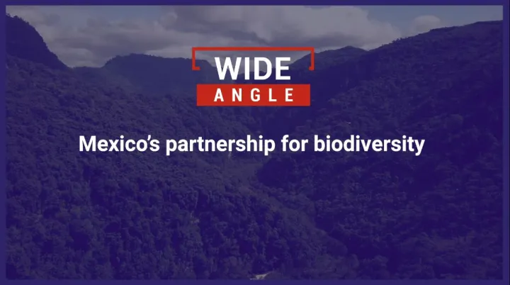 México's partnership for biodiversity