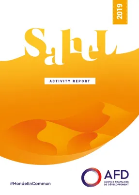Sahel : 2019 Activity Report