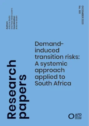 demand-induced-transition-risks-south-africa