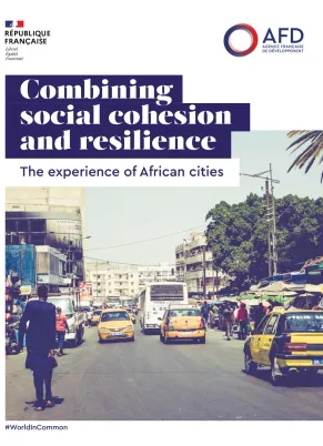 Combining Social Cohesion and Resilience: The Experience of African Cities