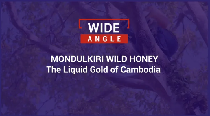 Cambodia Liquid Gold 
