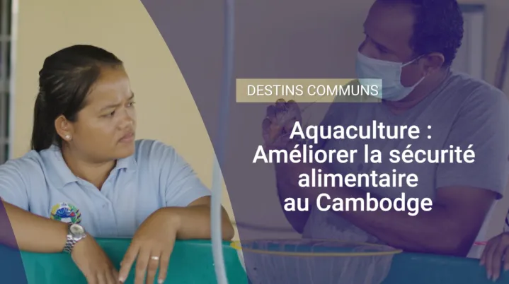 Aquaculture : améliorer la sécurité alimentaire au Cambodge 