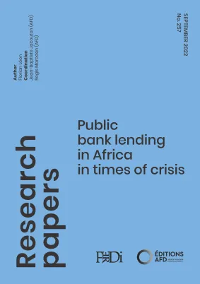 Public bank lending in Africa in times of crisis_couv1
