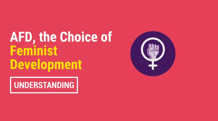 AFD, the Choice of Feminist Development