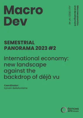 MacroDev Panorama #2 2023 VA