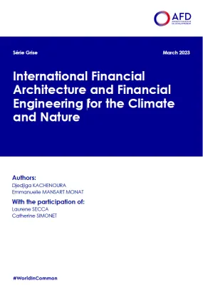 Vignette série grise architecture financière climat EN