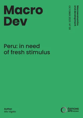 Couv MacroDev Peru VA