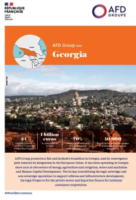 afd group in georgia
