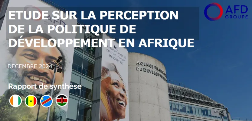 etude perception politique de developpement afrique