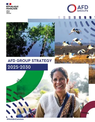 AFD group strategy 2025 - 2030