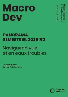 Couv PANORAMA SEMESTRIEL 2025 #2